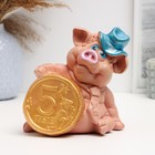 Копилка "Свин в шляпе с монетой" 14,5см - фото 11814093