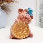 Копилка "Свин в шляпе с монетой" 14,5см - Фото 2