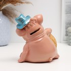 Копилка "Свин в шляпе с монетой" 14,5см - фото 8599472