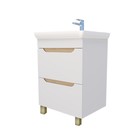 Тумба Амалия 60-2, с раковиной Томь, 36 х 60 х 86 см 10219506 - фото 319636864