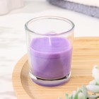 Ароматическая свеча в стакане 5×6 см, лаванда и ментол - Фото 2