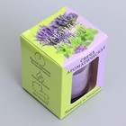 Ароматическая свеча в стакане 5×6 см, лаванда и ментол - Фото 7