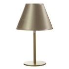 Лампа настольная Oliver 1х15Вт Е27 лимон/шампань 25х25х40см RISALUX - фото 23460455