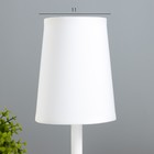 Лампа настольная Harry 1х15Вт Е14 белый/бежевый 20х10х26,5см RISALUX - фото 23460502