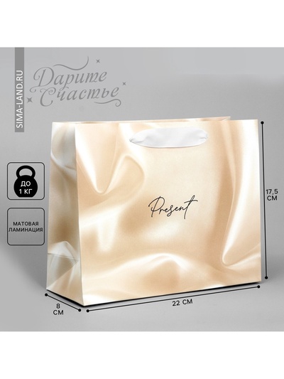 Пакет подарочный, упаковка, «Present», 22×17.5×8 см