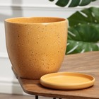 Горшок цветочный с поддоном 4,7 л, коричневый керамика, "Рябь" (М) - фото 23460603