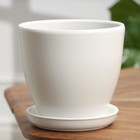 Горшок цветочный "Лучший друг" белый, 2,4 л - фото 23460617