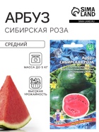 Семена Арбуз «Сибирская Роза», 10 шт., «Уральский дачник» - Фото 1