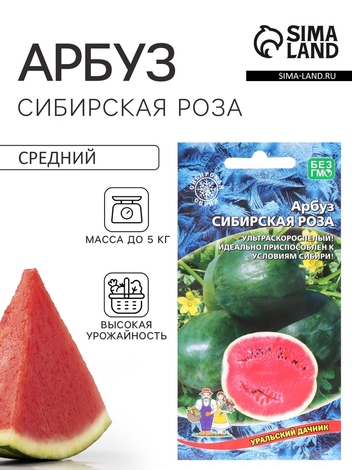 Семена Арбуз «Сибирская Роза», 10 шт., «Уральский дачник» - Фото 1
