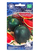 Семена Арбуз «Сибирская Роза», 10 шт., «Уральский дачник» - Фото 7