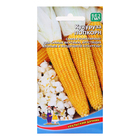 Семена Кукуруза "Попкорн", 5 г - фото 9330235