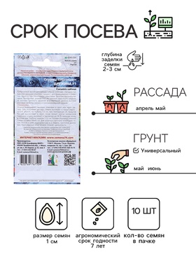 Семена Огурец "Дружина - корнишон", 10 шт (комплект 2 шт)