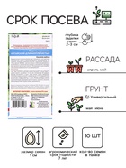 Семена Огурец корнишон «Китайский Длинноплетистый», 10 шт., «Уральский дачник» - Фото 2