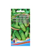 Семена Огурец корнишон «Китайский Длинноплетистый», 10 шт., «Уральский дачник» - Фото 5