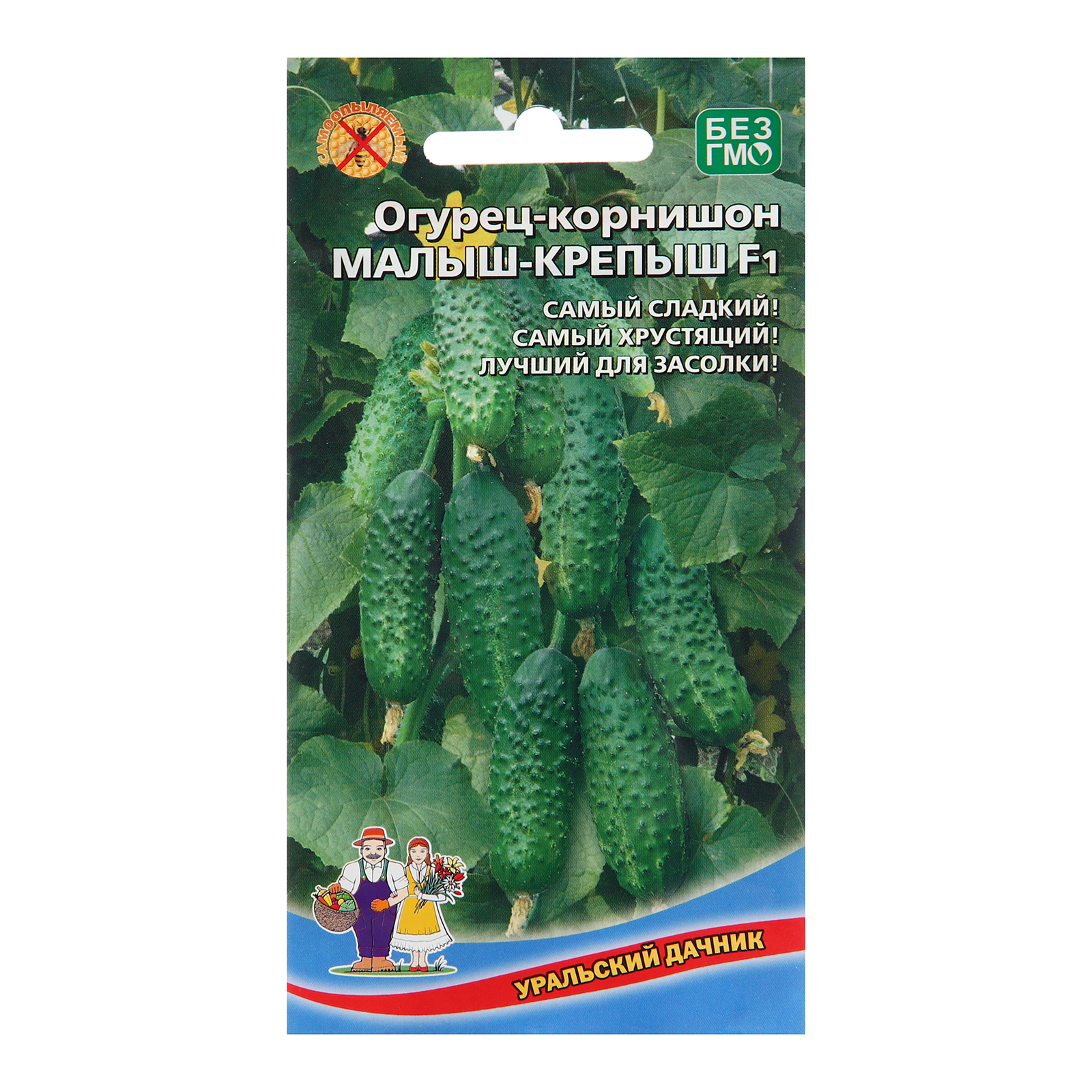 Огурцы малыш отзывы фото Огурцы малыш отзывы фото