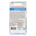 Семена Огурец "Министр огурцов - салатного типа", 10 шт 10255843 - фото 14047730