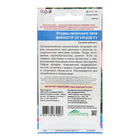 Семена Огурец "Министр огурцов - салатного типа", 10 шт - Фото 2