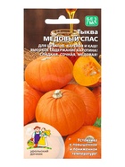 Семена Тыква "Медовый Спас", 6 шт - фото 809278573