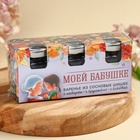 Набор варенья с сосновыми шишками «Моей бабушке», вкус: имбирь, брусника, клюква, 90 г (30 г х 3 шт.) 10063288 - фото 16378733