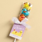 Леденец тройной «Моему утёнку», 15 г. - фото 23489551