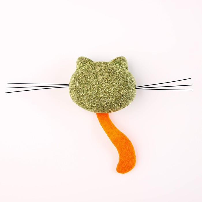 Игрушка для кошек «Кошачья мордочка» из кошачьей мяты, 5,5 х 1,5 см