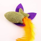 Игрушка для кошек «Радужная рыбка» из кошачьей мяты, 7,5 х 1,5 см - фото 8714445