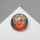 Брошь «Российская Федерация», цветная в серебре - фото 320932167