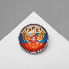 Брошь "Российская Федерация", цветной в серебре - фото 809336985