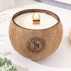 Свеча в кокосе ароматическая, английская груша и фрезия, соевый воск, 8х10 с, в коробке - фото 320841594