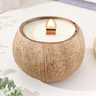 Свеча в кокосе ароматическая, белый чай, соевый воск, 8х10 см, в коробке - фото 9862252