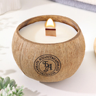 Свеча в кокосе ароматическая, вишня, соевый воск, 8х10 см, в коробке - фото 3128151
