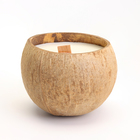 Свеча в кокосе ароматическая, вишня, соевый воск, 8х10 см, в коробке - фото 9862268