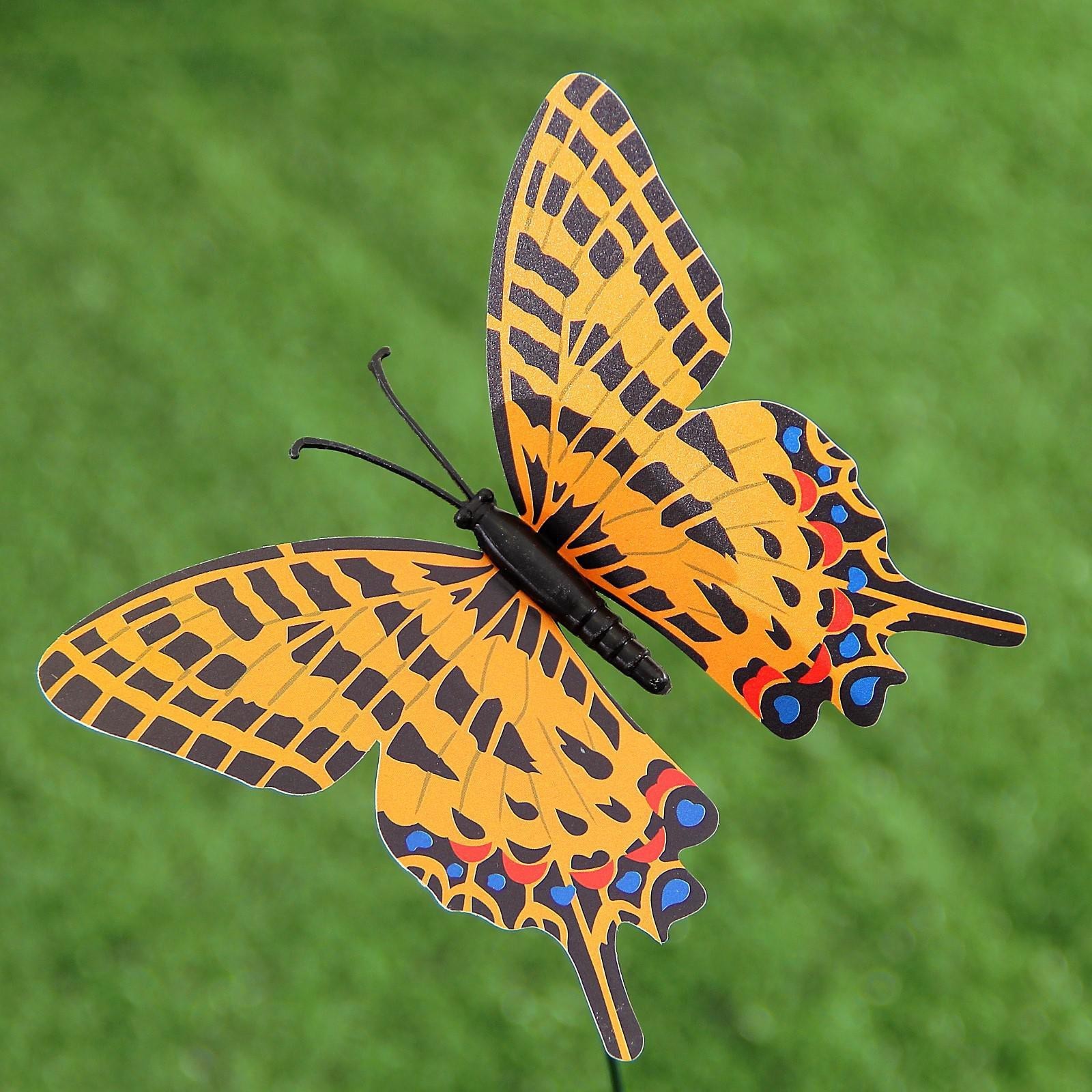 Butterfly x