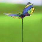 Набор штекеров "Бабочка", 10шт, 10х8см, 30см - Фото 3