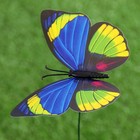Набор штекеров "Бабочка", 10шт, 10х8см, 30см - Фото 4