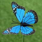 Набор штекеров "Бабочка", 10шт, 10х8см, 30см - Фото 6