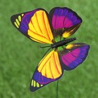 Набор штекеров "Бабочка", 10шт, 10х8см, 30см - Фото 7