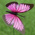 Набор штекеров "Бабочка", 10шт, 10х8см, 30см - Фото 8