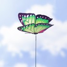 Набор штекеров "Бабочка", 10шт, 12×9см, 30см - Фото 4