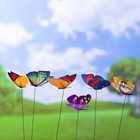 Набор штекеров "Бабочка", 10шт, 12×9см, 30см - Фото 5