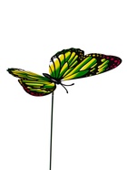 Штекер «Бабочка Дольче», 12×9 см/30 см, набор 10 шт., МИКС  (артикул 10245559)  большой выбор товаров оптом и в розницу по низким ценам с доставкой