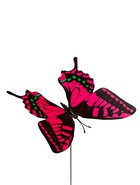 Штекер «Бабочка Дольче», 12×9 см/30 см, набор 10 шт., МИКС  (артикул 10245559)  большой выбор товаров оптом и в розницу по низким ценам с доставкой