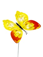 Штекер «Бабочка Бербер», 14.5×10.5 см/25 см, набор 12 шт., МИКС  (артикул 10245561)  большой выбор товаров оптом и в розницу по низким ценам с доставкой