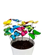 Штекер «Бабочка Бербер», 14.5×10.5 см/25 см, набор 12 шт., МИКС  (артикул 10245561)  большой выбор товаров оптом и в розницу по низким ценам с доставкой