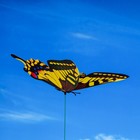 Штекер "Бабочка Альпина" 21х22см/42 см, набор 4шт, МИКС - Фото 3