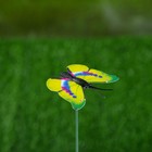 Набор штекеров "Бабочка", 25шт, 3х4см, 30см - Фото 4