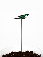 Штекер «Бабочка Эдита», 5×7 см/25 см, набор 10 шт., МИКС  (артикул 10245566)  большой выбор товаров оптом и в розницу по низким ценам с доставкой