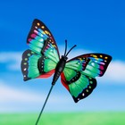 Набор штекеров "Бабочка", 10шт, 6х7см, 25см - Фото 3