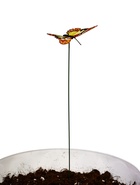 Штекер «Бабочка Атрис», 7×7 см/30 см, набор 15 шт., МИКС, Greengo  (артикул 10245568)  большой выбор товаров оптом и в розницу по низким ценам с доставкой