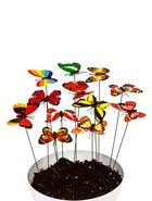 Штекер «Бабочка Атрис», 7×7 см/30 см, набор 15 шт., МИКС, Greengo  (артикул 10245568)  большой выбор товаров оптом и в розницу по низким ценам с доставкой